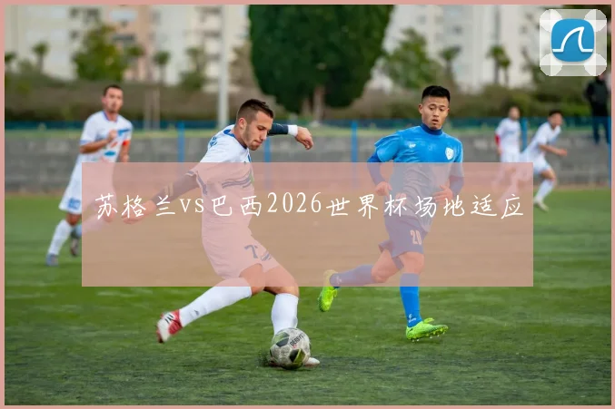苏格兰vs巴西2026世界杯场地适应 — 详细说明