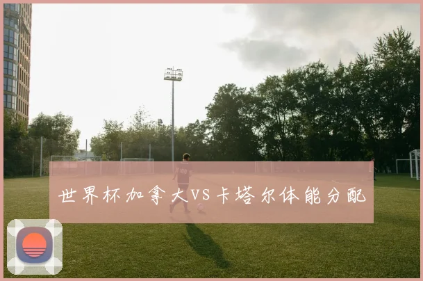 世界杯加拿大vs卡塔尔体能分配 · 用户常问