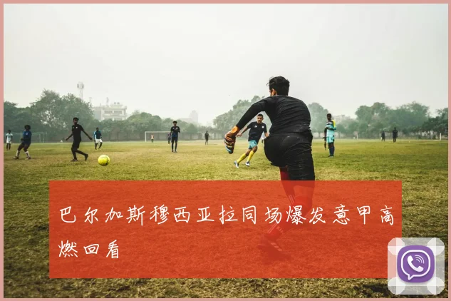巴尔加斯穆西亚拉同场爆发意甲高燃回看