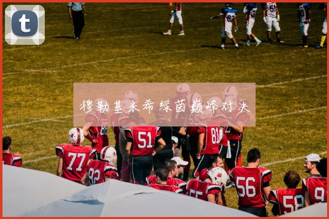 穆勒基米希绿茵巅峰对决
