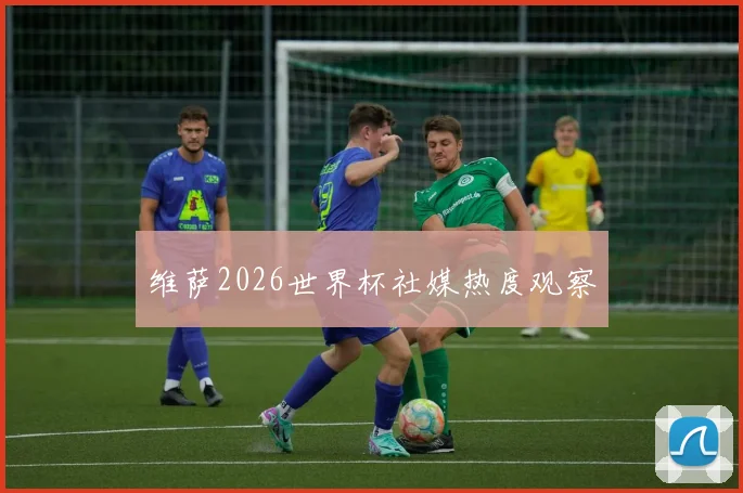 维萨2026世界杯社媒热度观察 — 详细说明