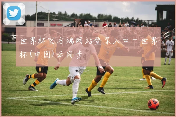 世界杯官方端网站登录入口 - 世界杯(中国)云同步