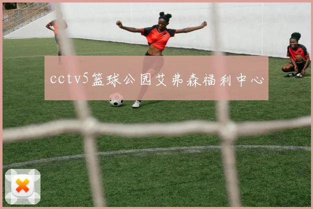 cctv5篮球公园艾弗森福利中心