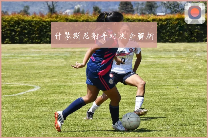 什琴斯尼射手对决全解析