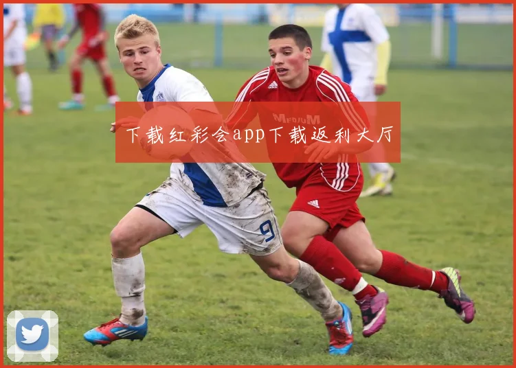 下载红彩会app下载返利大厅