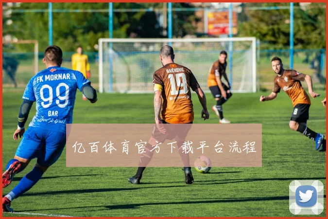 亿百体育官方下载平台流程