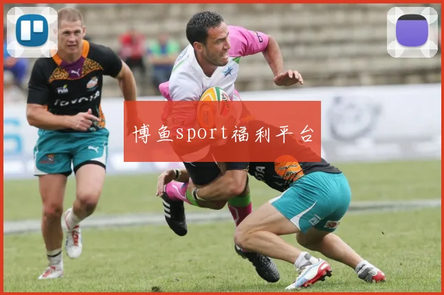 博鱼sport福利平台