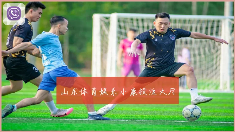山东体育娱乐小康投注大厅