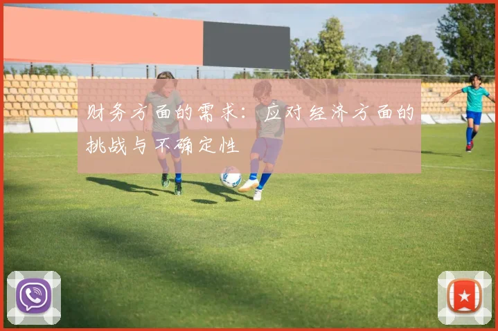 财务方面的需求：应对经济方面的挑战与不确定性