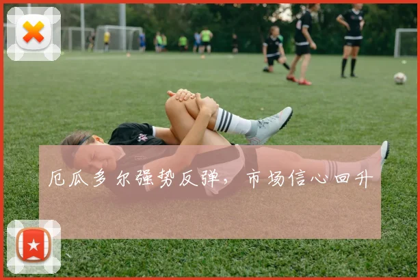 厄瓜多尔强势反弹，市场信心回升