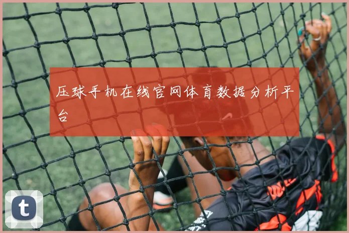 压球手机在线官网体育数据分析平台