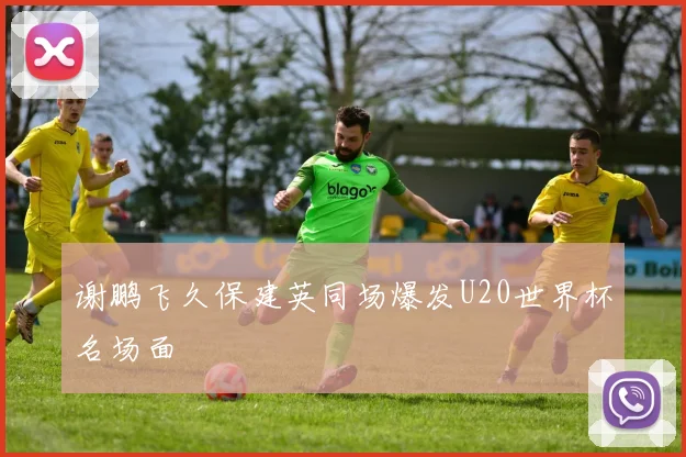 谢鹏飞久保建英同场爆发U20世界杯名场面 · 用户常问