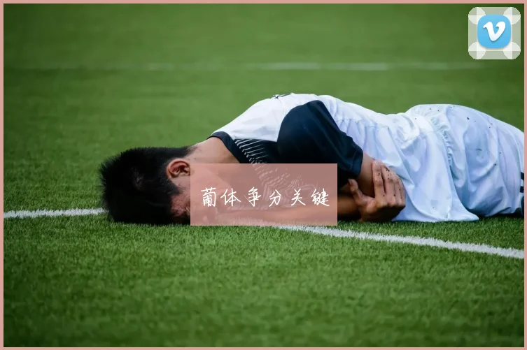 葡体争分关键