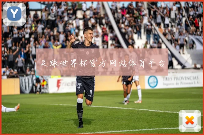 足球世界杯官方网站体育平台