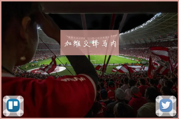 加维交锋马内