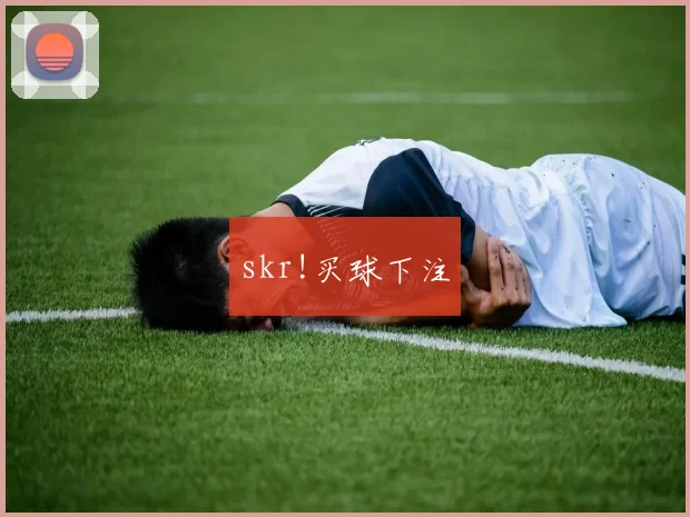 skr!买球下注