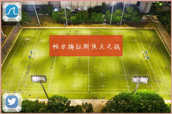 帕尔梅拉斯焦点之战