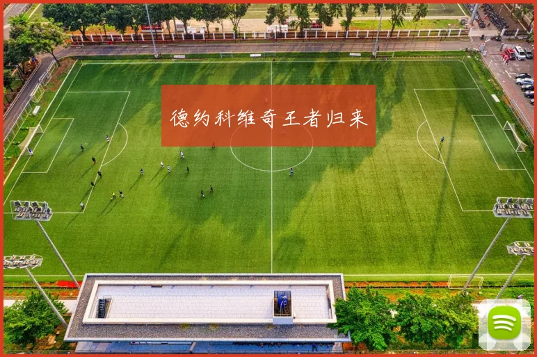 德约科维奇王者归来