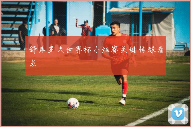 舒库罗夫世界杯小组赛关键传球看点
