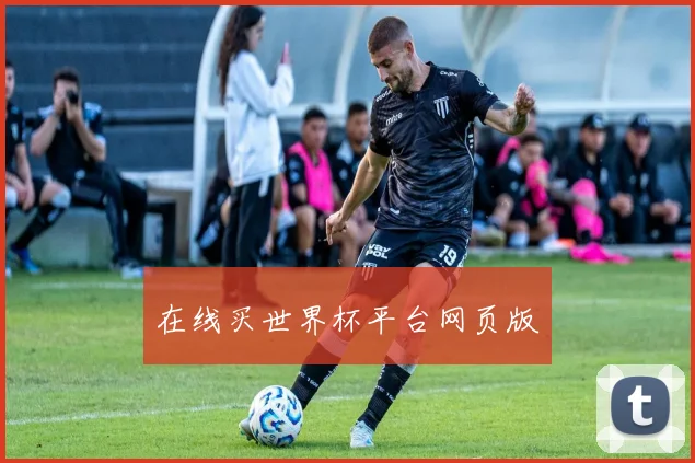 在线买世界杯平台网页版