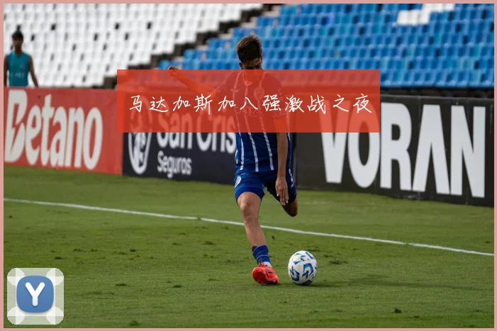 马达加斯加八强激战之夜