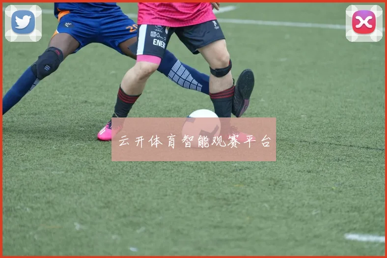 云开体育智能观赛平台