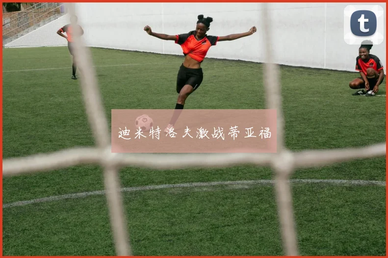迪米特洛夫激战蒂亚福