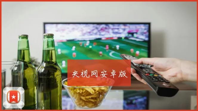 央视网安卓版