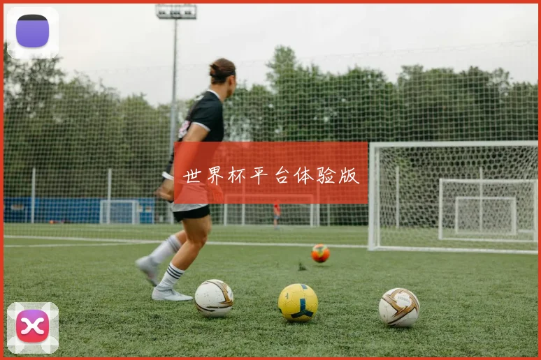世界杯平台体验版