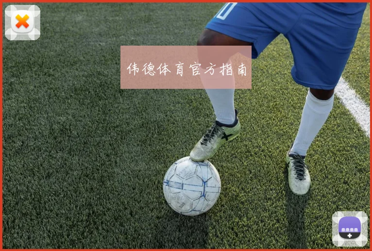 伟德体育官方指南