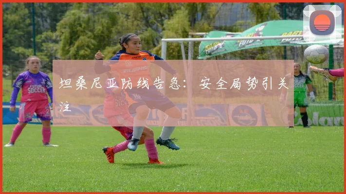 坦桑尼亚防线告急:安全局势引关注
