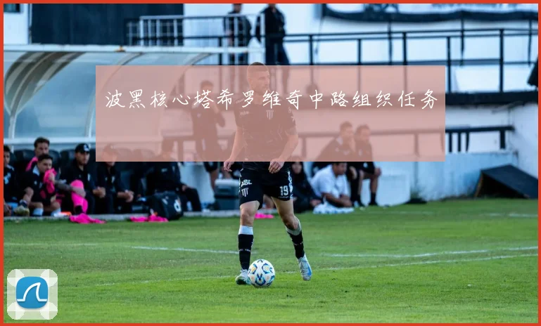 关于「波黑核心塔希罗维奇中路组织任务」