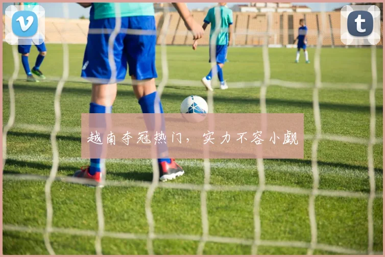 越南夺冠热门,实力不容小觑