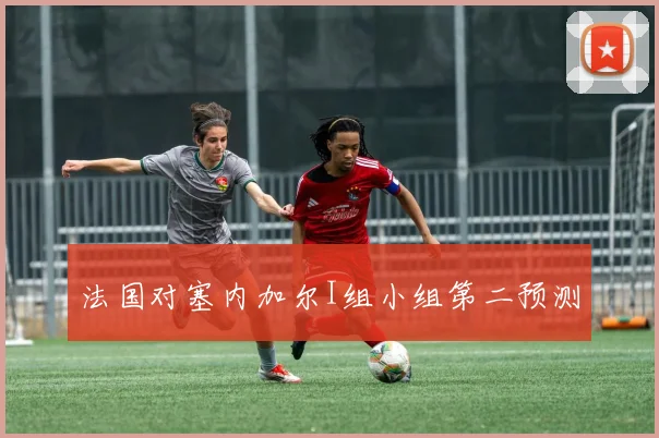法国对塞内加尔I组小组第二预测