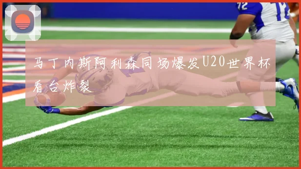 马丁内斯阿利森同场爆发U20世界杯看台炸裂