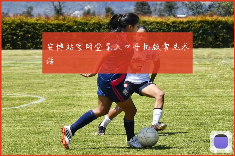 安博站官网登录入口手机版常见术语