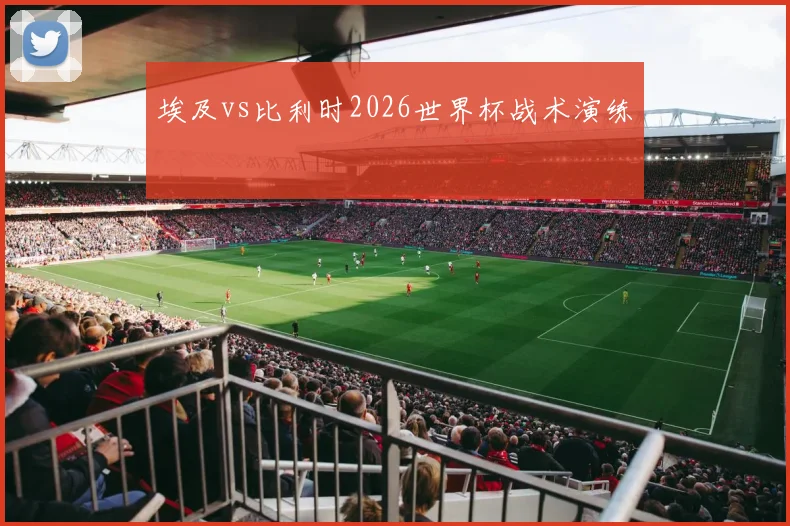 埃及vs比利时2026世界杯战术演练