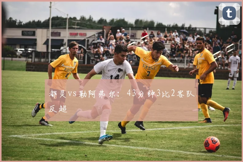 都灵vs勒阿弗尔：43分钟3比2客队反超